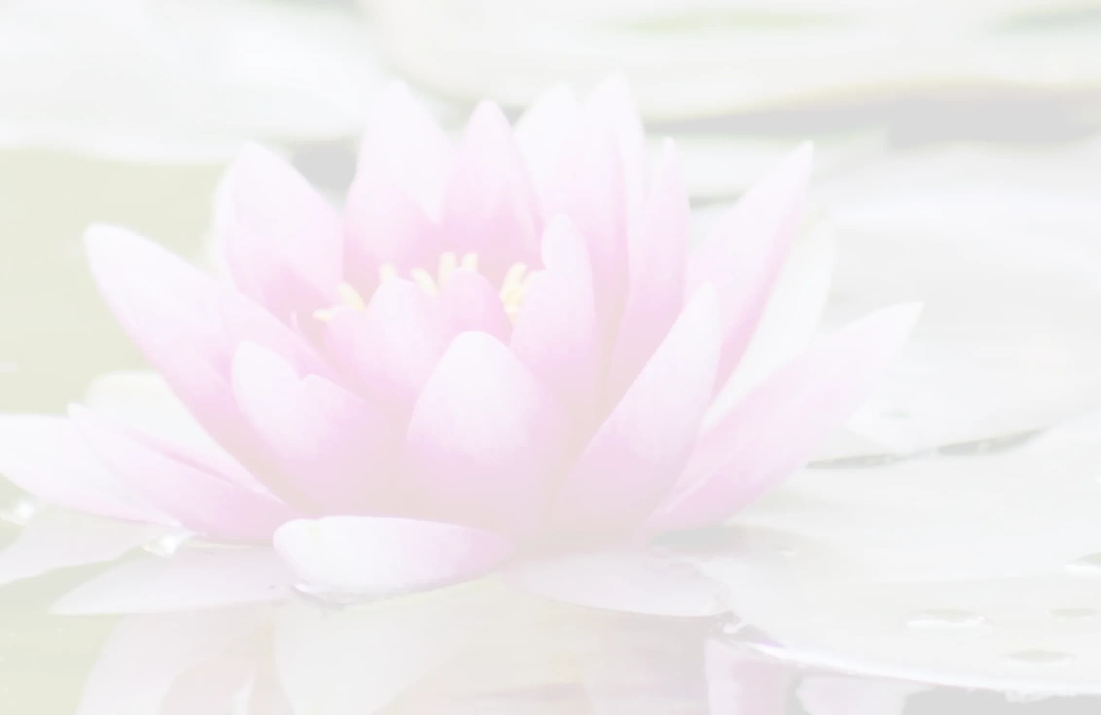 Érika Andrea — Terapeuta de Sanazen