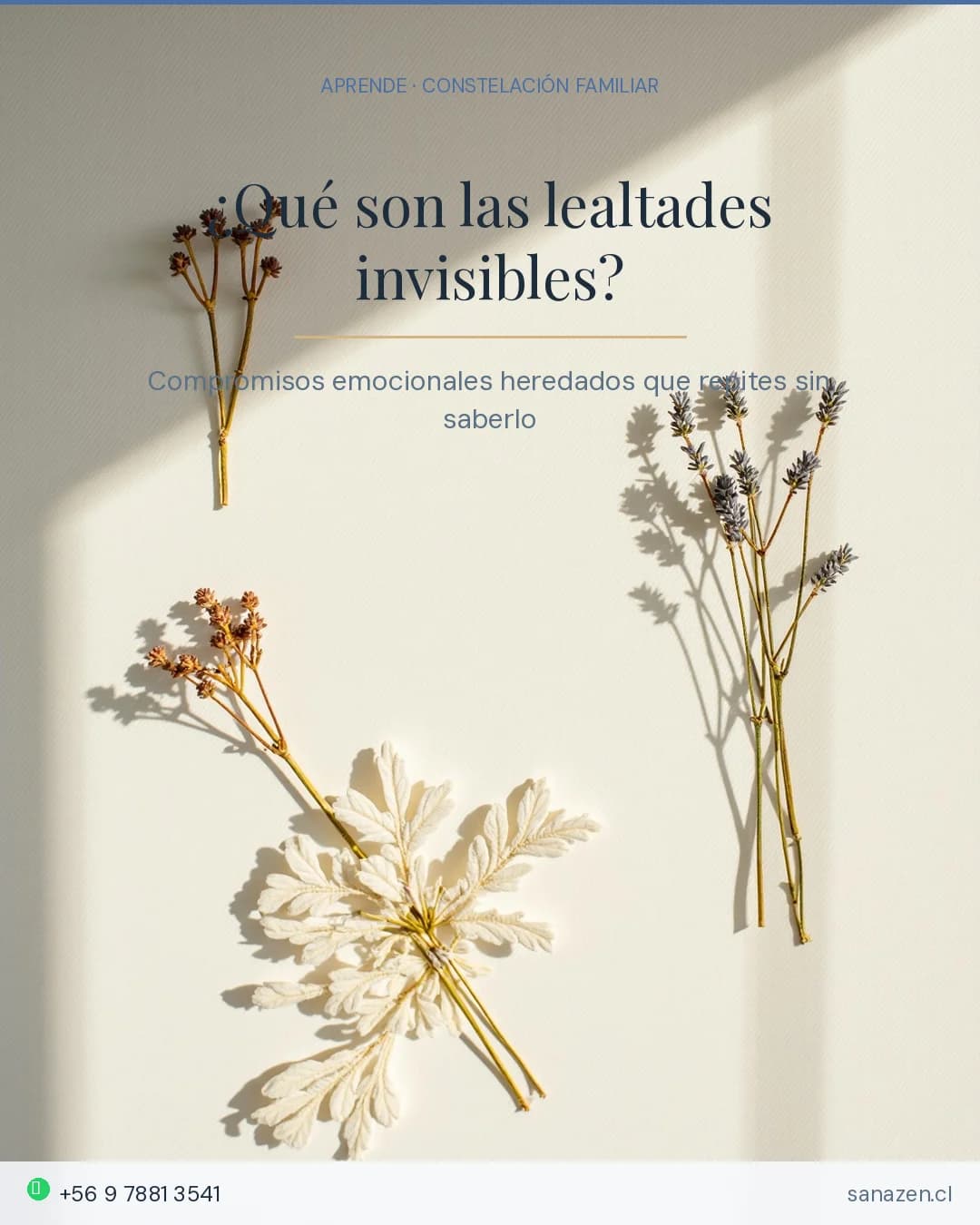 ¿Qué son las lealtades invisibles?